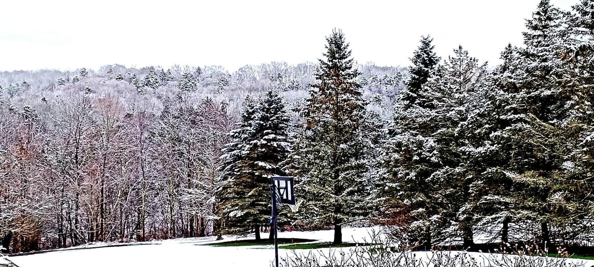 Escape To The Catskills Liberty Bagian luar foto